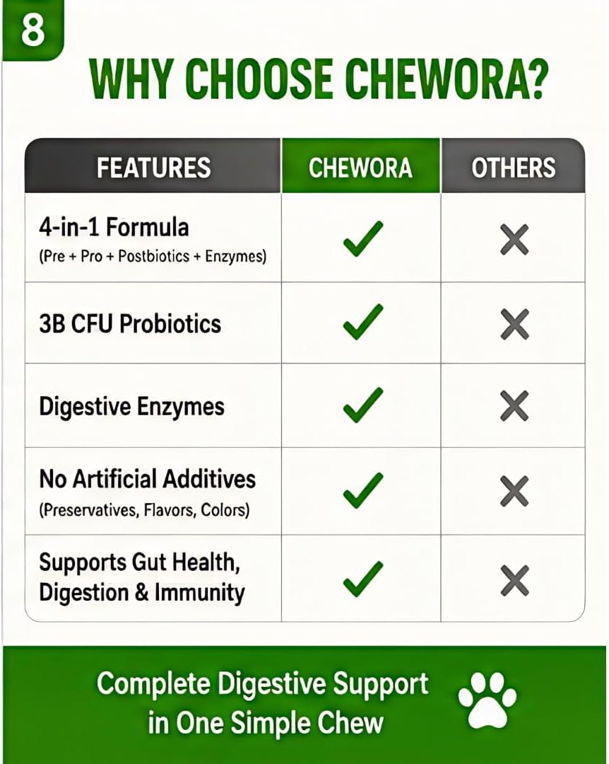 4-In-1 Digestive Pet Chews for Dogs, 6.3 Oz (60 Soft Chews), Natural Beef Flavor – Supports Gut Health with Prebiotic, Probiotic, Postbiotic & Digestive Enzymes