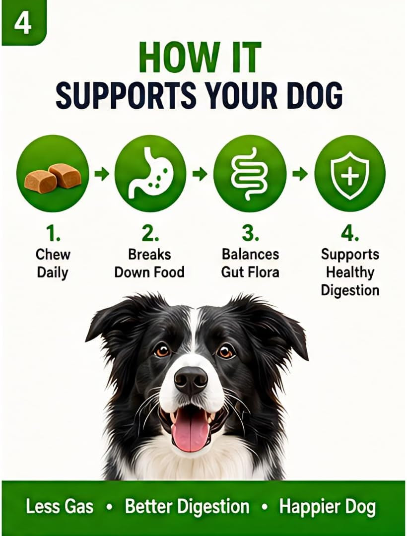 4-In-1 Digestive Pet Chews for Dogs, 6.3 Oz (60 Soft Chews), Natural Beef Flavor – Supports Gut Health with Prebiotic, Probiotic, Postbiotic & Digestive Enzymes