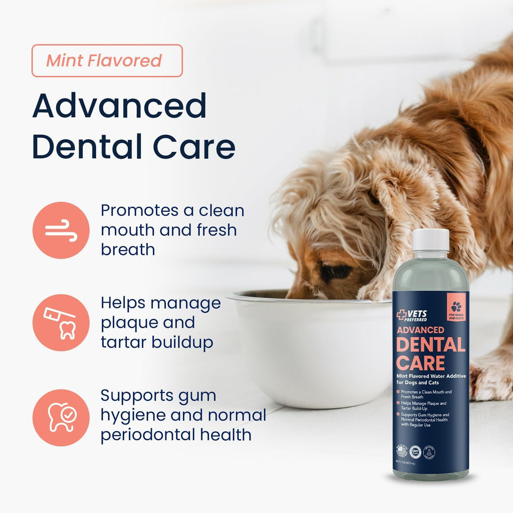 Dog Breath Freshener & Water Additive for Dental Care – Fights Bad Breath, Removes Tartar & Plaque – Dog Mouthwash for Healthy Teeth & Gums, Gingivitis Support – Mint Flavor