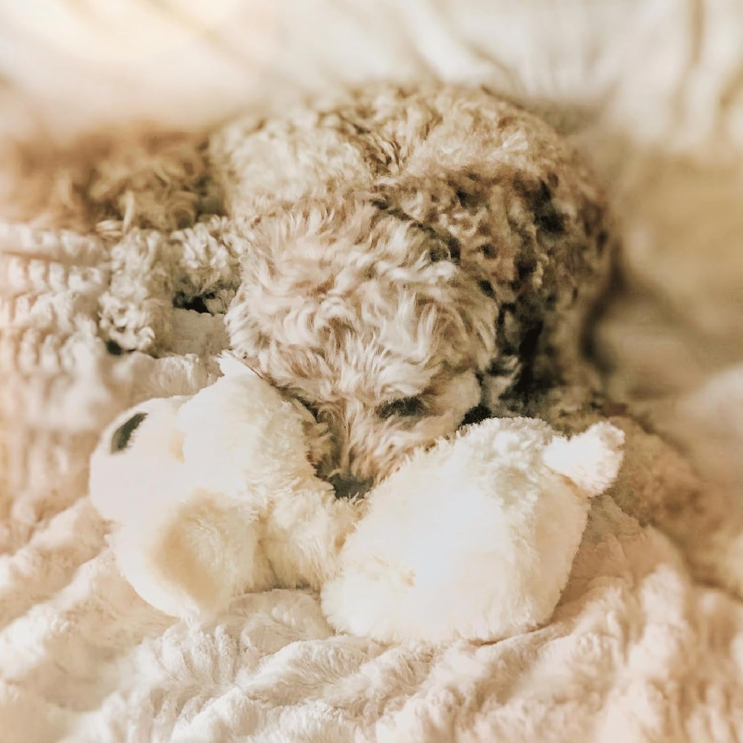 Snuggle Puppy Heartbeat Dog Toy for Puppies, Real-Feel Heartbeat, Calming Sleep Aid and Crate Training Comfort Toy with Heat Pack, Cream Plush Design