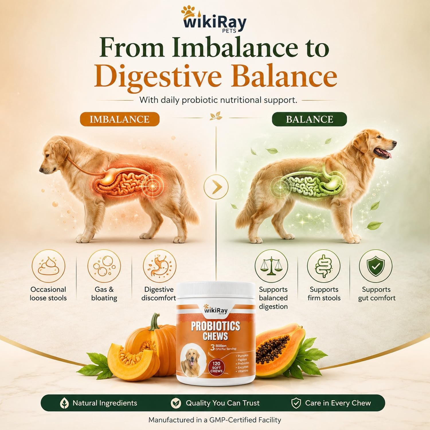 Wikiray Probiotics for Dogs – Soft Chews for Digestive Health & Immunity | 120 Chews | 3 Billion CFU, Pumpkin, Enzymes, Vitamins & Prebiotics | Made with Natural Ingredients