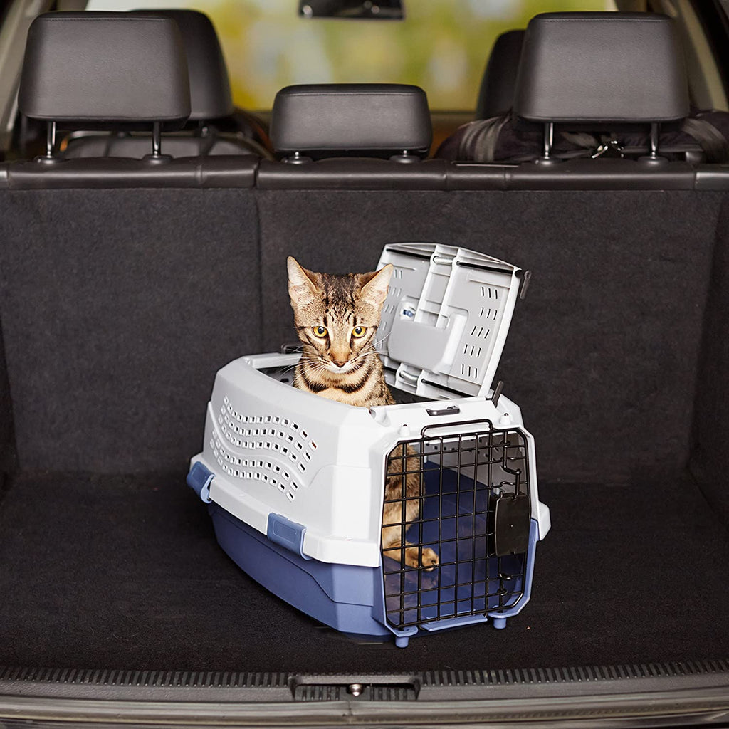 2-Door Top-Load Hard-Sided Pet Travel Carrier for Cats and Small Dogs, 19" L X 12.6" W X 10" H, Gray & Blue