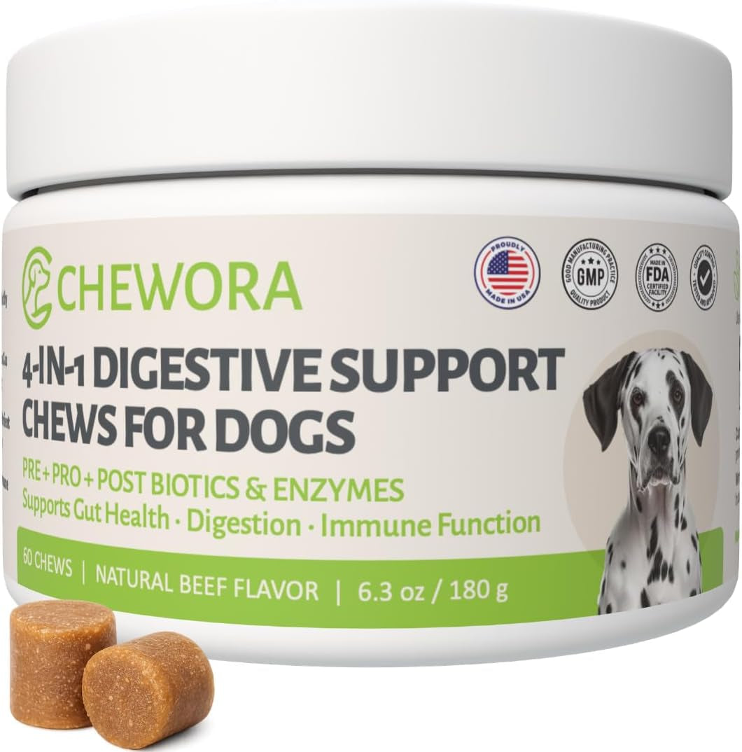 4-In-1 Digestive Pet Chews for Dogs, 6.3 Oz (60 Soft Chews), Natural Beef Flavor – Supports Gut Health with Prebiotic, Probiotic, Postbiotic & Digestive Enzymes