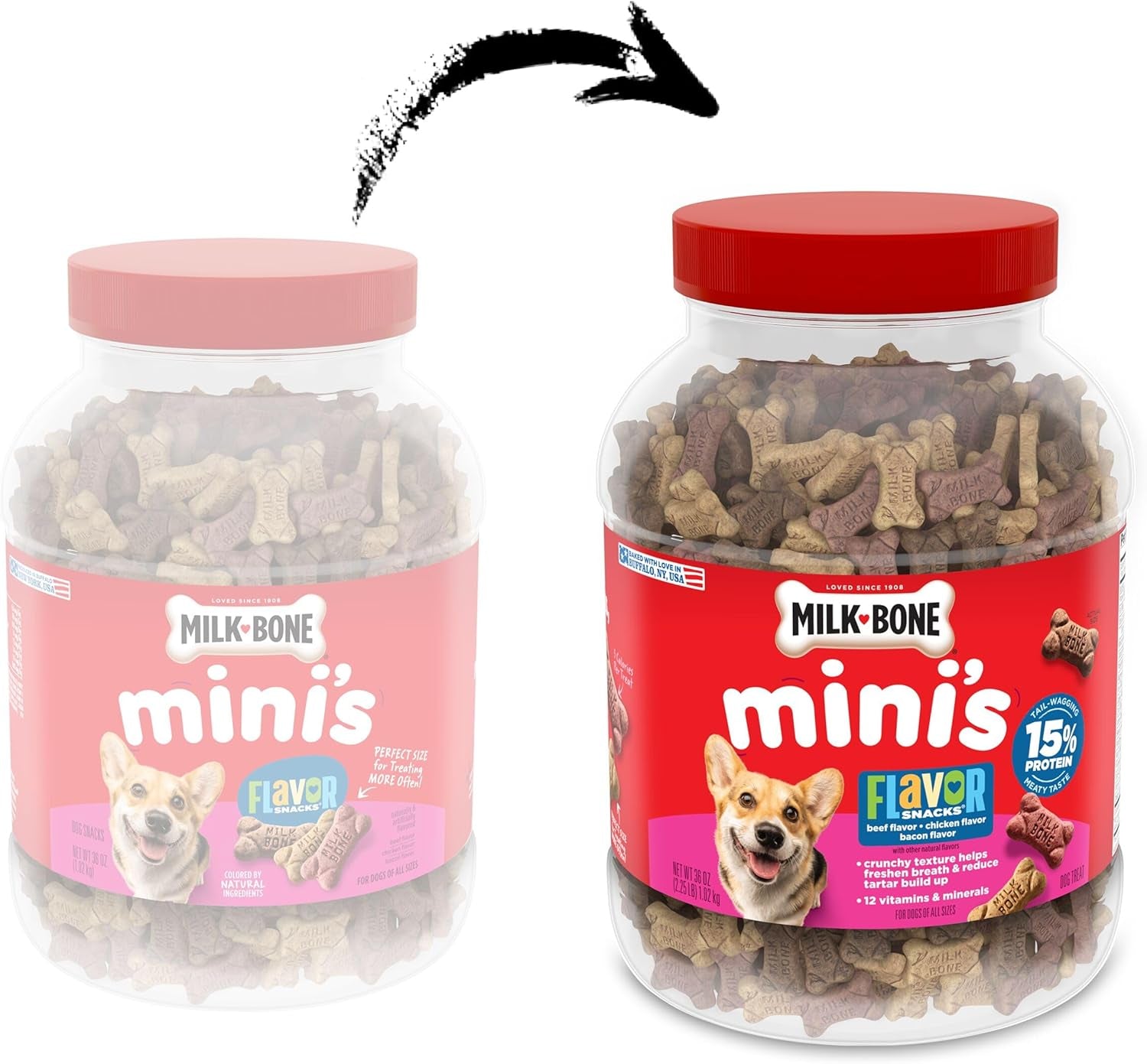 Flavor Snacks Mini’S Dog Biscuits, Flavored Crunchy Dog Treats, 36 Oz. Canister | 5 Calories per Treat, 15% Protein, 3 Flavors per Canister (Beef, Chicken & Bacon, Naturally & Artificially Flavored)