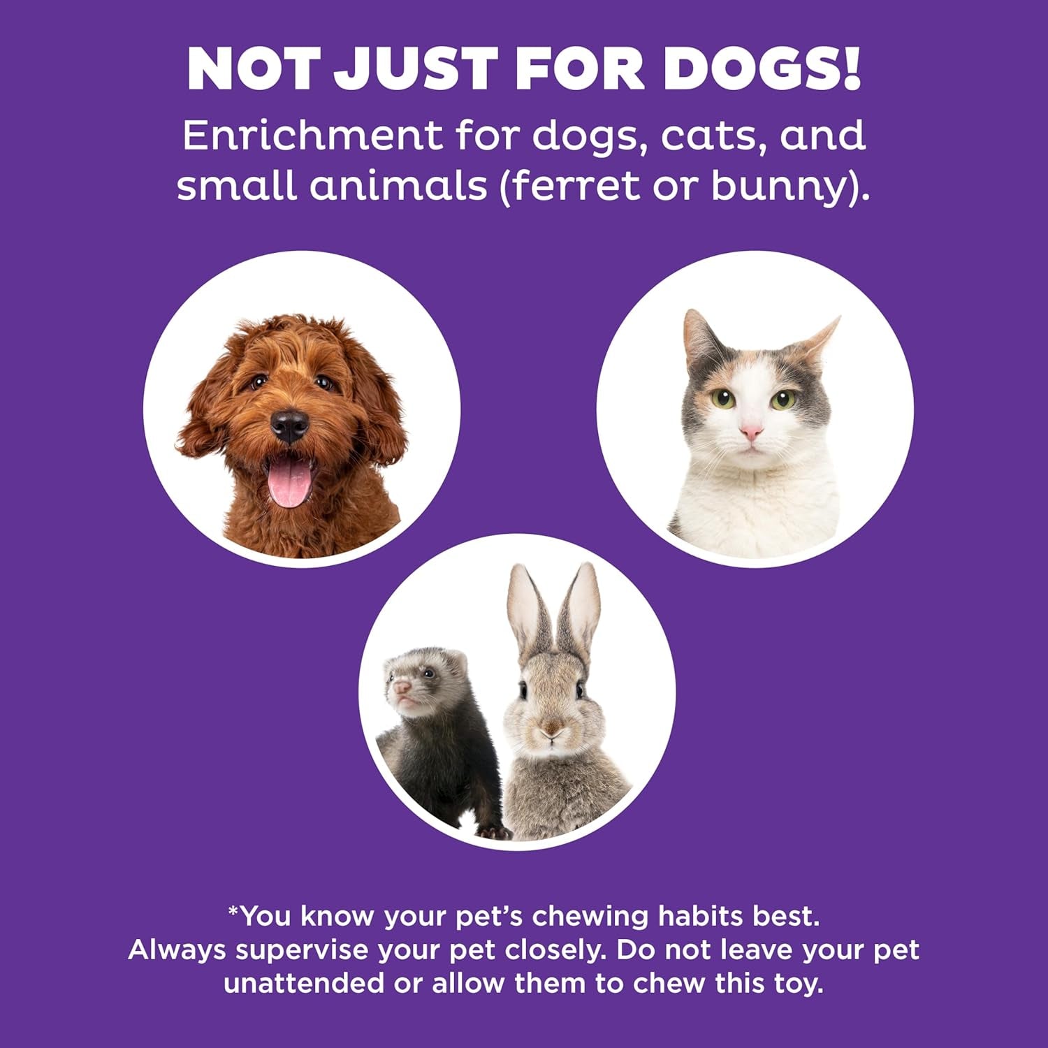 by Nina Ottosson Puppy Treat Puzzle Enrichment Dog Toy