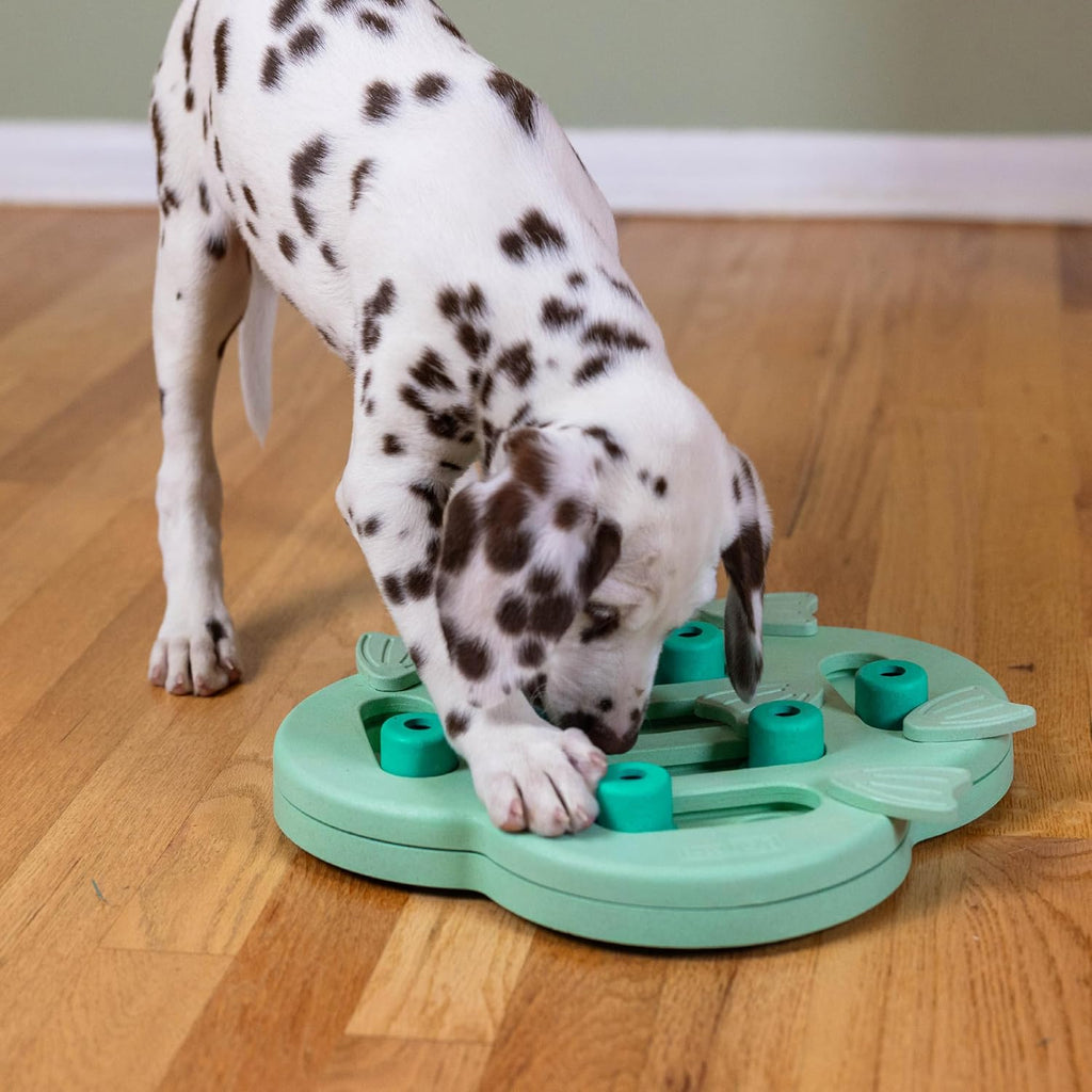 by Nina Ottosson Puppy Treat Puzzle Enrichment Dog Toy