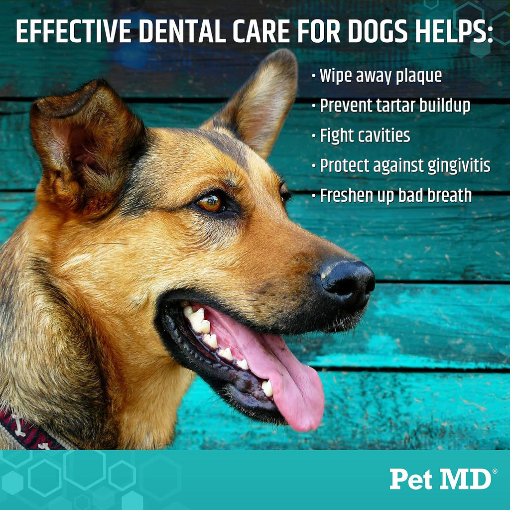 Dental Wipes for Dogs Teeth - Fresh Apple & Mint Flavor - 100Ct | Dog Teeth Cleaning Wipes to Remove Plaque and Tartar - Promotes Healthy Gums & Fresh Breath for Overall Oral Hygiene