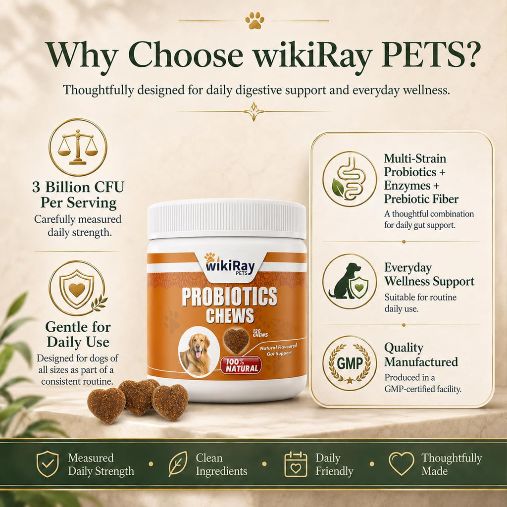 Wikiray Probiotics for Dogs – Soft Chews for Digestive Health & Immunity | 120 Chews | 3 Billion CFU, Pumpkin, Enzymes, Vitamins & Prebiotics | Made with Natural Ingredients
