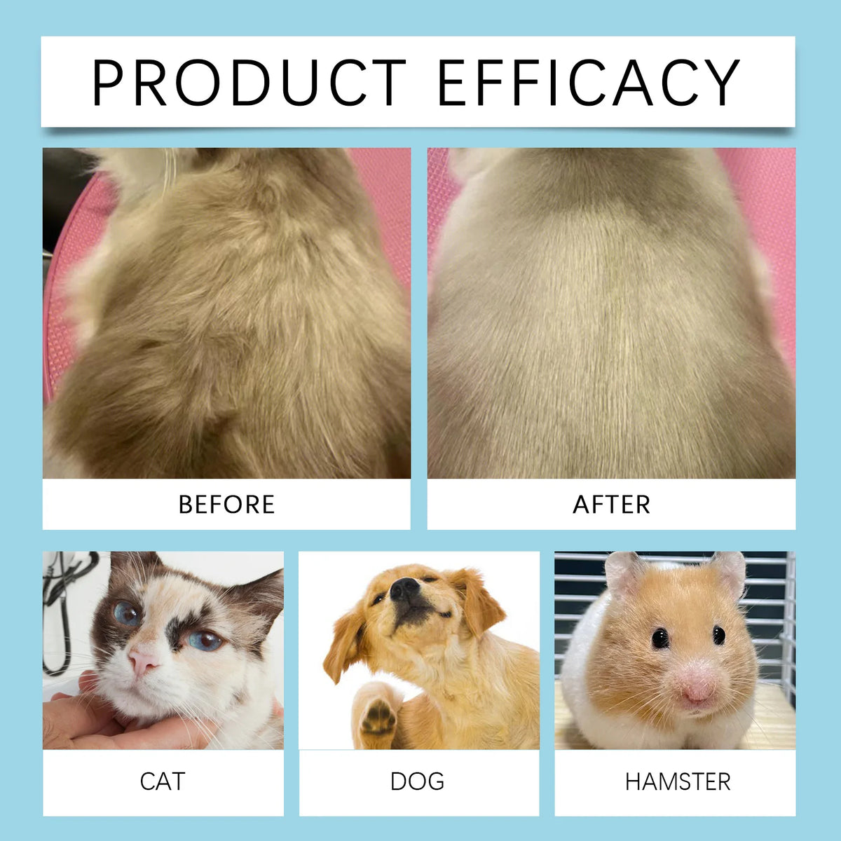 MISTIQ™ - Pet Cologne