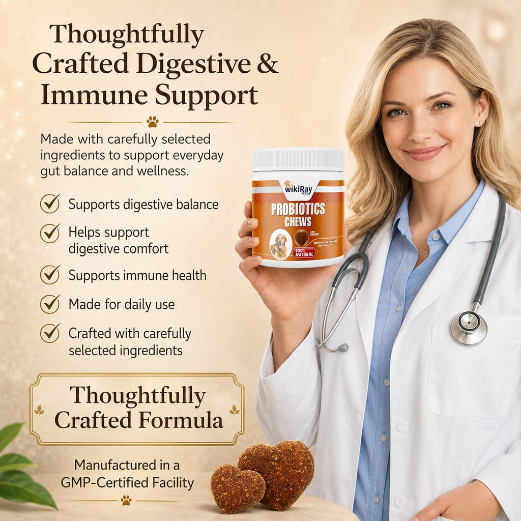 Wikiray Probiotics for Dogs – Soft Chews for Digestive Health & Immunity | 120 Chews | 3 Billion CFU, Pumpkin, Enzymes, Vitamins & Prebiotics | Made with Natural Ingredients