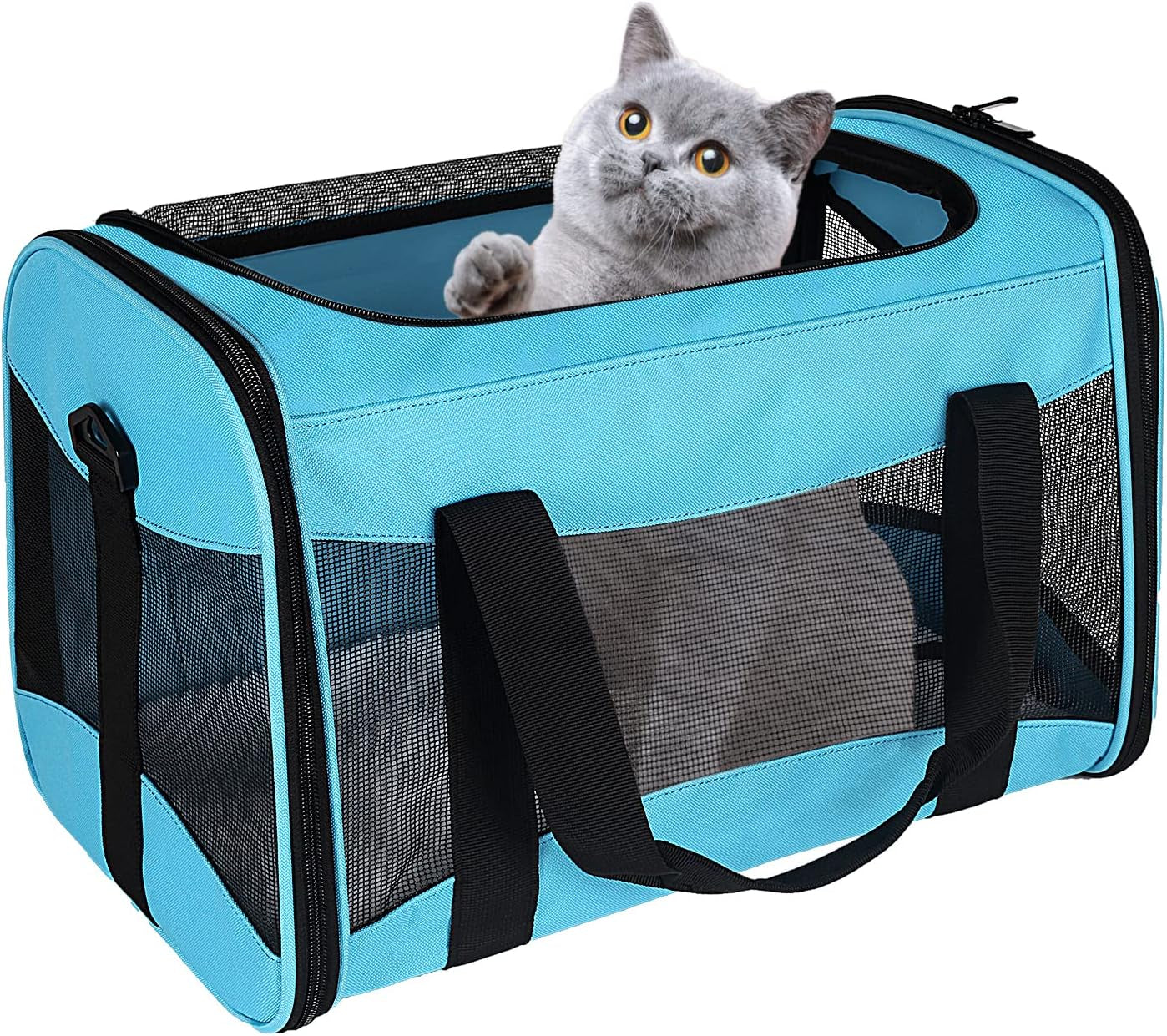 Cat Dog Carriers Soft-Sided Pet Carrier Large Cats for Medium Big Cat Small Dog Puppy up to 16Lbs TSA Airline Approved Animal Collapsible Cat Carrier Carriers Travel Carrier Cat Bag (17X11X11)