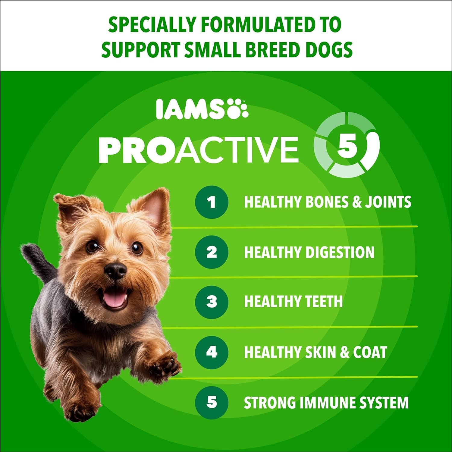 Proactive Health Small Breed Adult Dry Dog Food Chicken & Whole Grain Recipe, 5 Lb. Bag