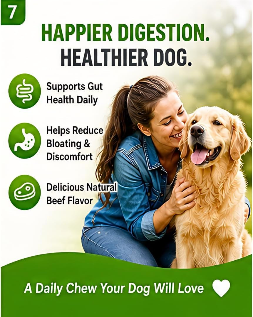 4-In-1 Digestive Pet Chews for Dogs, 6.3 Oz (60 Soft Chews), Natural Beef Flavor – Supports Gut Health with Prebiotic, Probiotic, Postbiotic & Digestive Enzymes