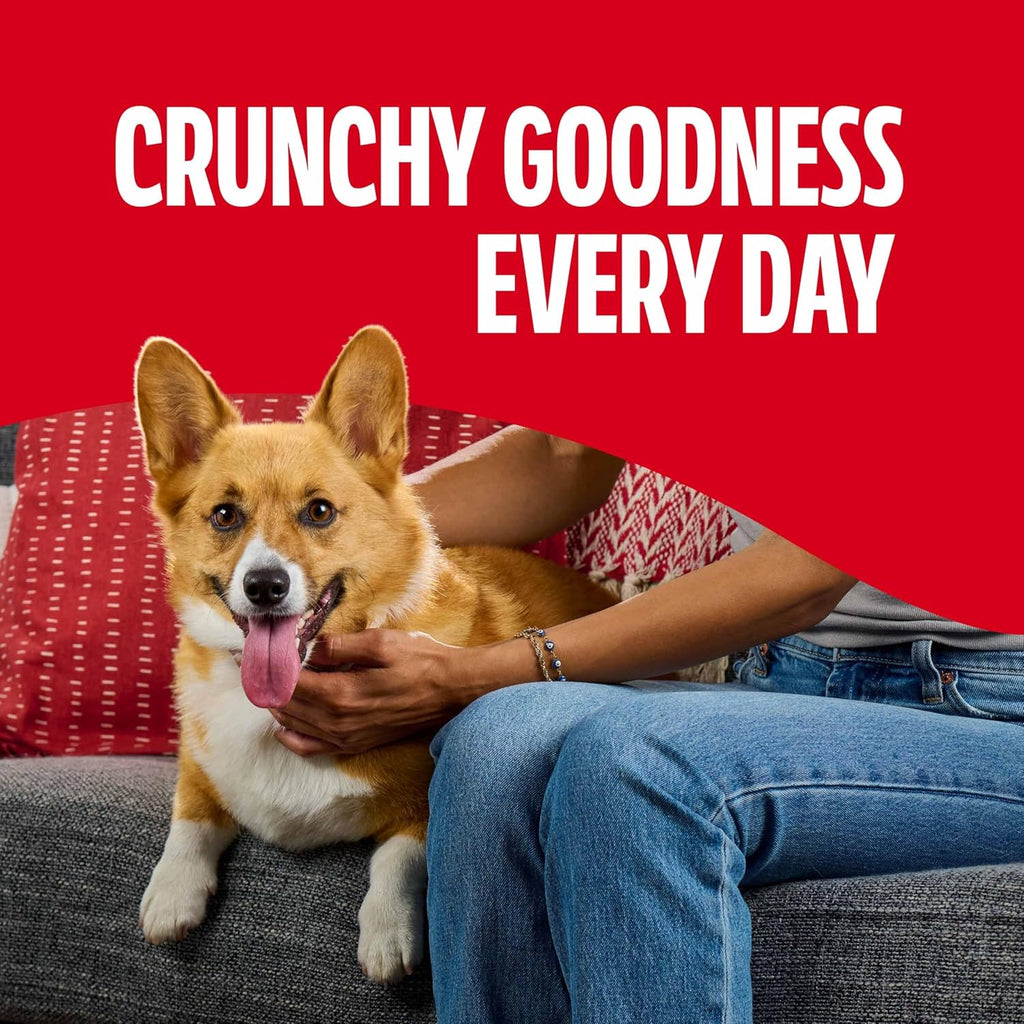 Flavor Snacks Mini’S Dog Biscuits, Flavored Crunchy Dog Treats, 36 Oz. Canister | 5 Calories per Treat, 15% Protein, 3 Flavors per Canister (Beef, Chicken & Bacon, Naturally & Artificially Flavored)