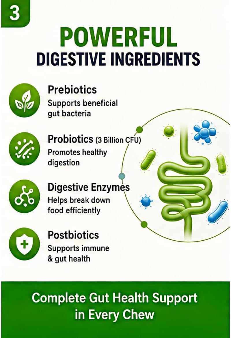 4-In-1 Digestive Pet Chews for Dogs, 6.3 Oz (60 Soft Chews), Natural Beef Flavor – Supports Gut Health with Prebiotic, Probiotic, Postbiotic & Digestive Enzymes