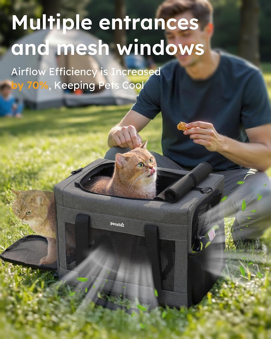 Cat Carrier, Portable Travel Dog Carrier with Stable Structure, Grey | Larger Space, 360° Ventilation & Comfort, Escape-Proof, for Travel / Car Trips / Vet Visits, Fits Cats up to 11 Lbs